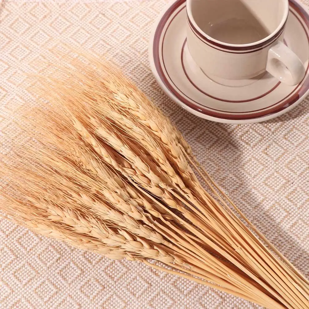 50個入り 人工花 ナチュラル ドライ小麦茎 DIYクラフト - Wedding Ceremony Supply のレビューと価格