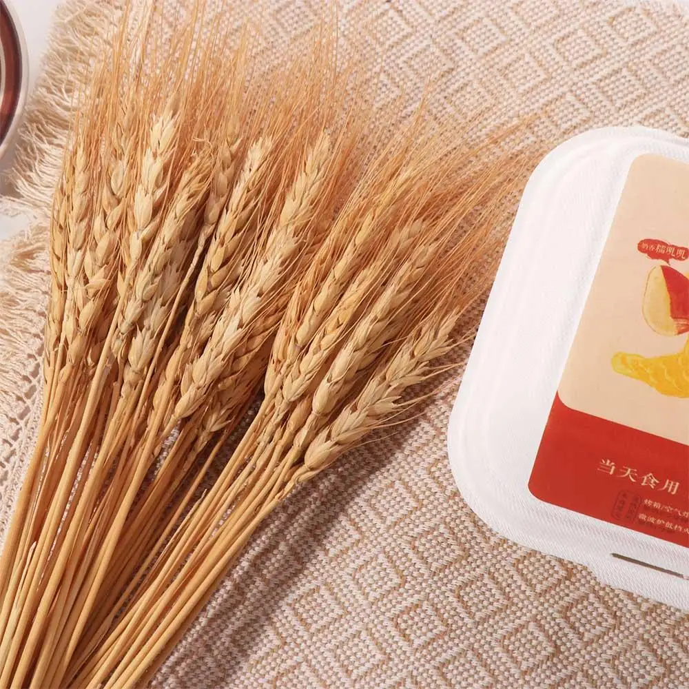50個入り 人工花 ナチュラル ドライ小麦茎 DIYクラフト - Wedding Ceremony Supply のレビューと価格
