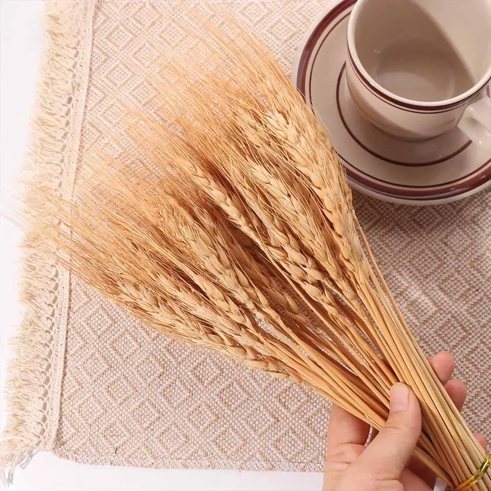 50個入り 人工花 ナチュラル ドライ小麦茎 DIYクラフト - Wedding Ceremony Supply のレビューと価格